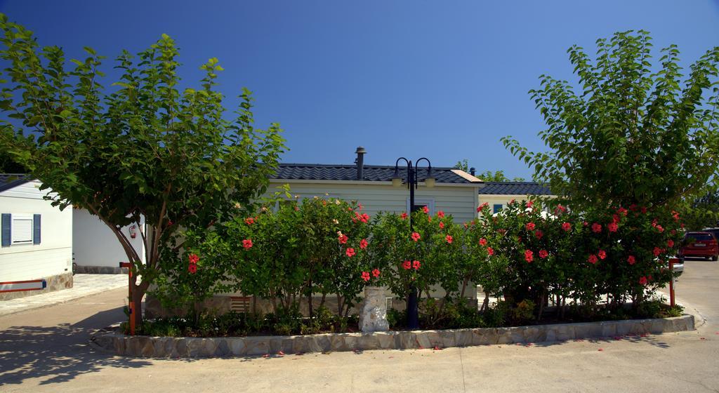 Camping Los Pinos Peñíscola Exterior foto
