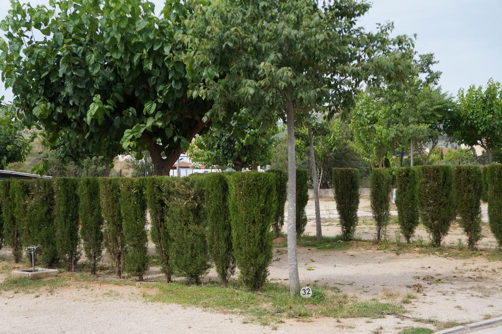Camping Los Pinos Peñíscola Exterior foto